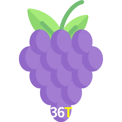 36T